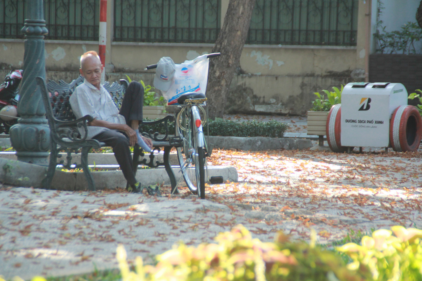 Ngày chớm hè, ngắm cánh chò nâu lả tả bay giữa Sài Gòn ảnh 6