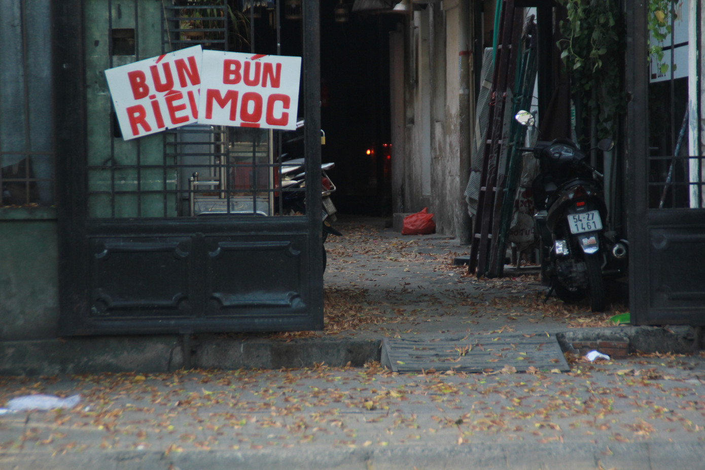 Ngày chớm hè, ngắm cánh chò nâu lả tả bay giữa Sài Gòn ảnh 14