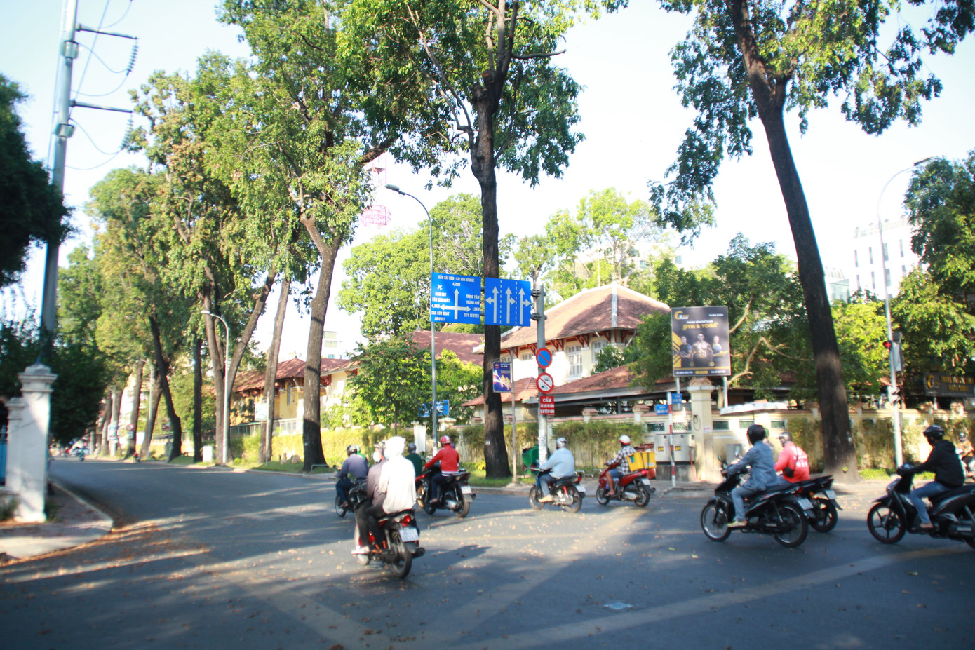 Ngày chớm hè, ngắm cánh chò nâu lả tả bay giữa Sài Gòn ảnh 9