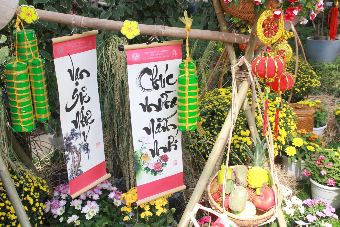 Đẹp mắt đường hoa xuân do các y, bác sỹ dày công chuẩn bị ảnh 9