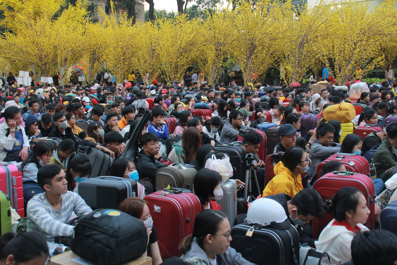 2.500 sinh viên TPHCM lên 'Chuyến xe mùa xuân' về quê đón Tết ảnh 3