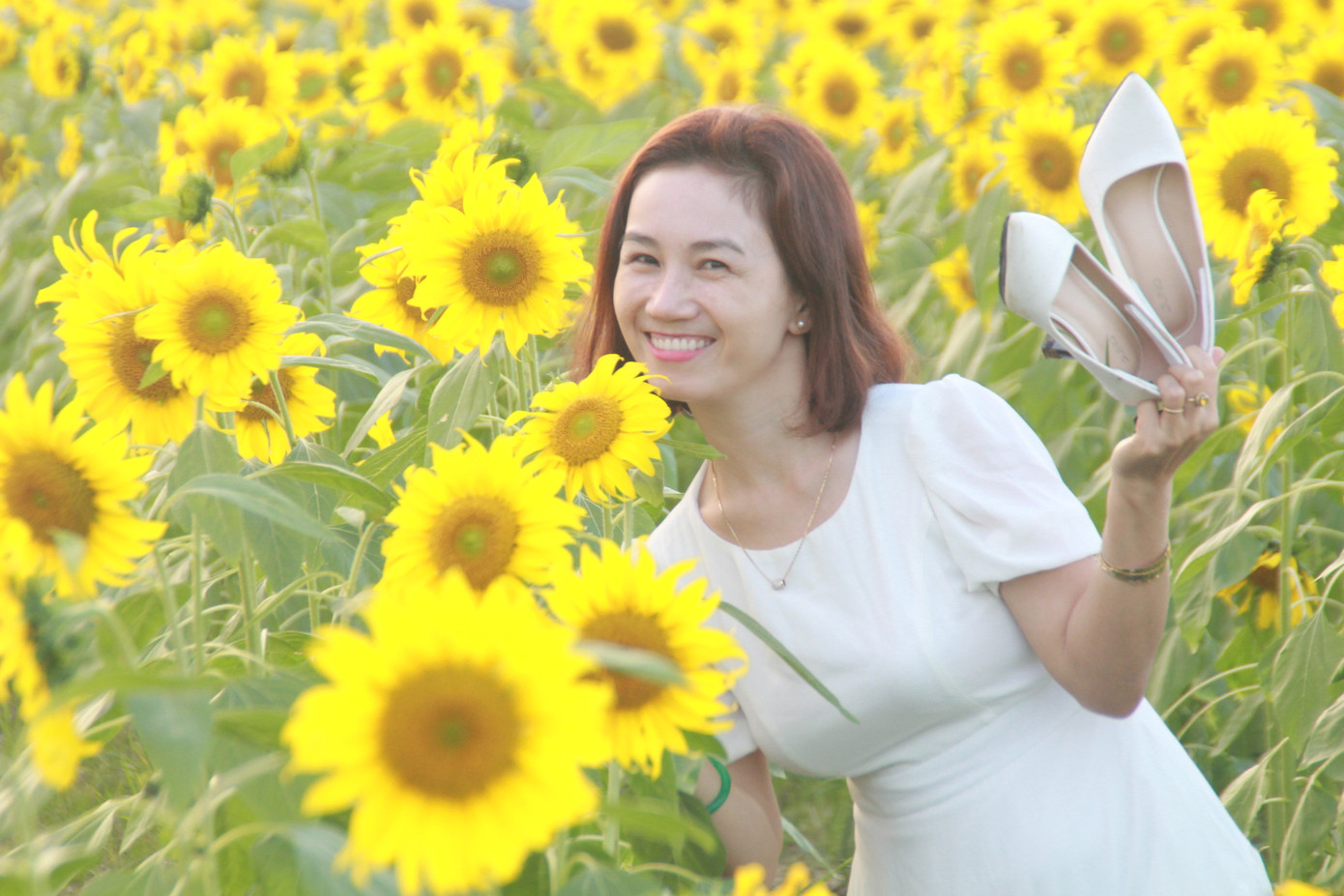 Vườn hoa hướng dương 'khổng lồ' ở Quảng Ngãi hút khách ngày cận Tết ảnh 12