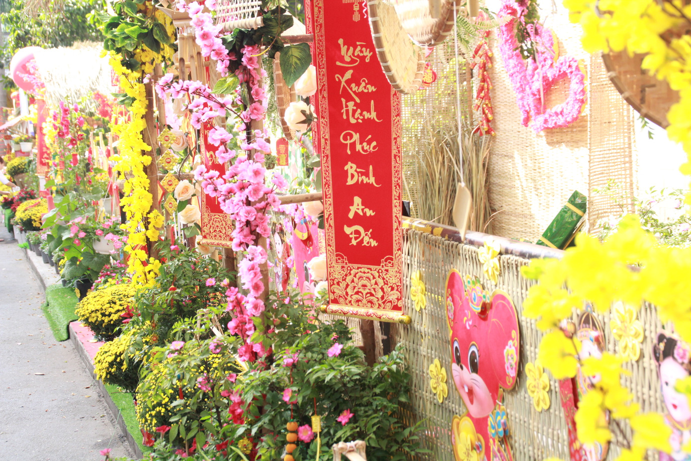 Đẹp mắt đường hoa xuân do các y, bác sỹ dày công chuẩn bị ảnh 3