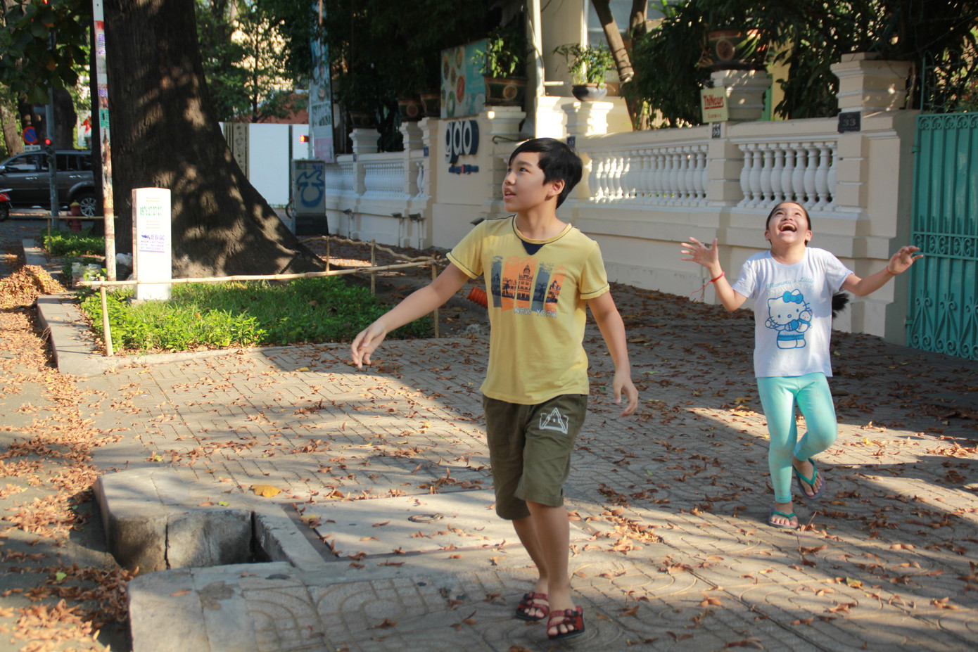 Ngày chớm hè, ngắm cánh chò nâu lả tả bay giữa Sài Gòn ảnh 3