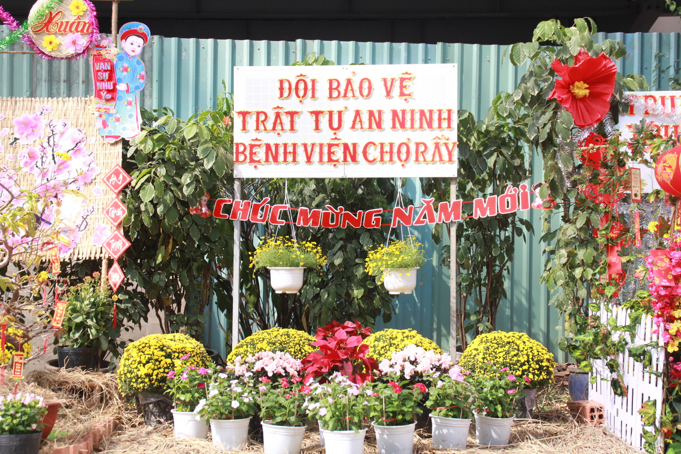 Đẹp mắt đường hoa xuân do các y, bác sỹ dày công chuẩn bị ảnh 11