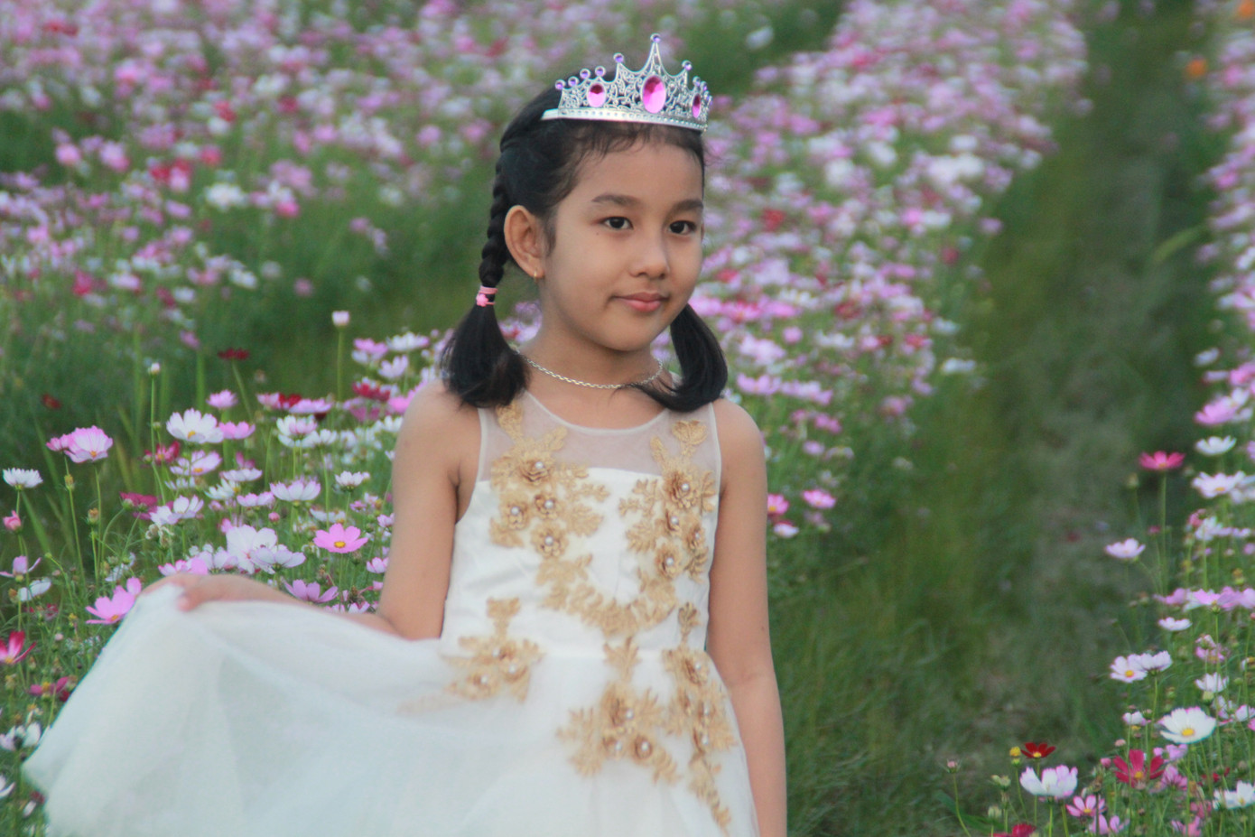 Vườn hoa hướng dương 'khổng lồ' ở Quảng Ngãi hút khách ngày cận Tết ảnh 18