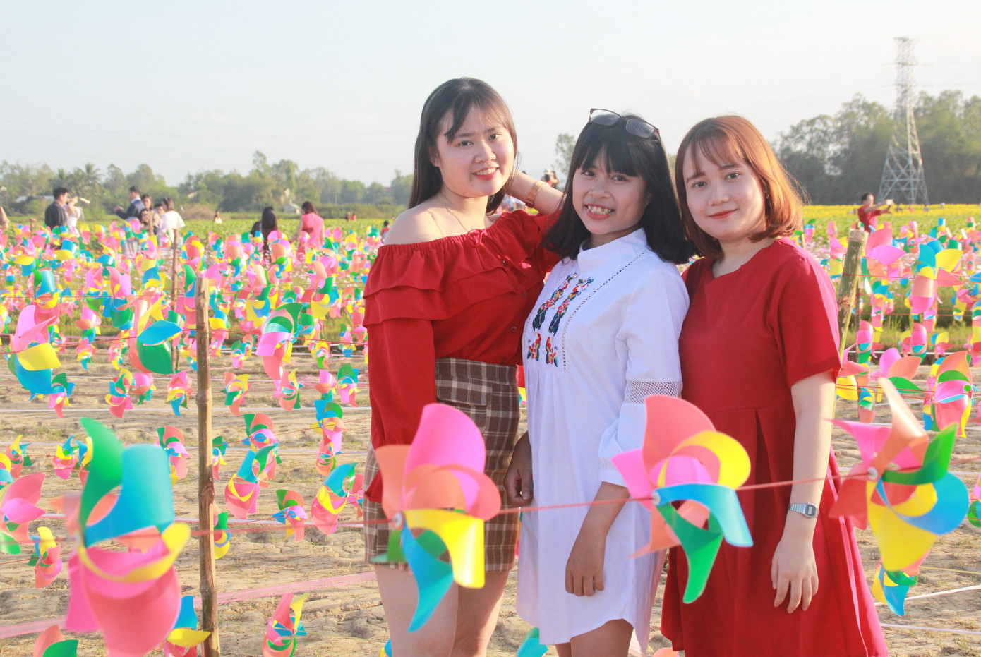 Vườn hoa hướng dương 'khổng lồ' ở Quảng Ngãi hút khách ngày cận Tết ảnh 23