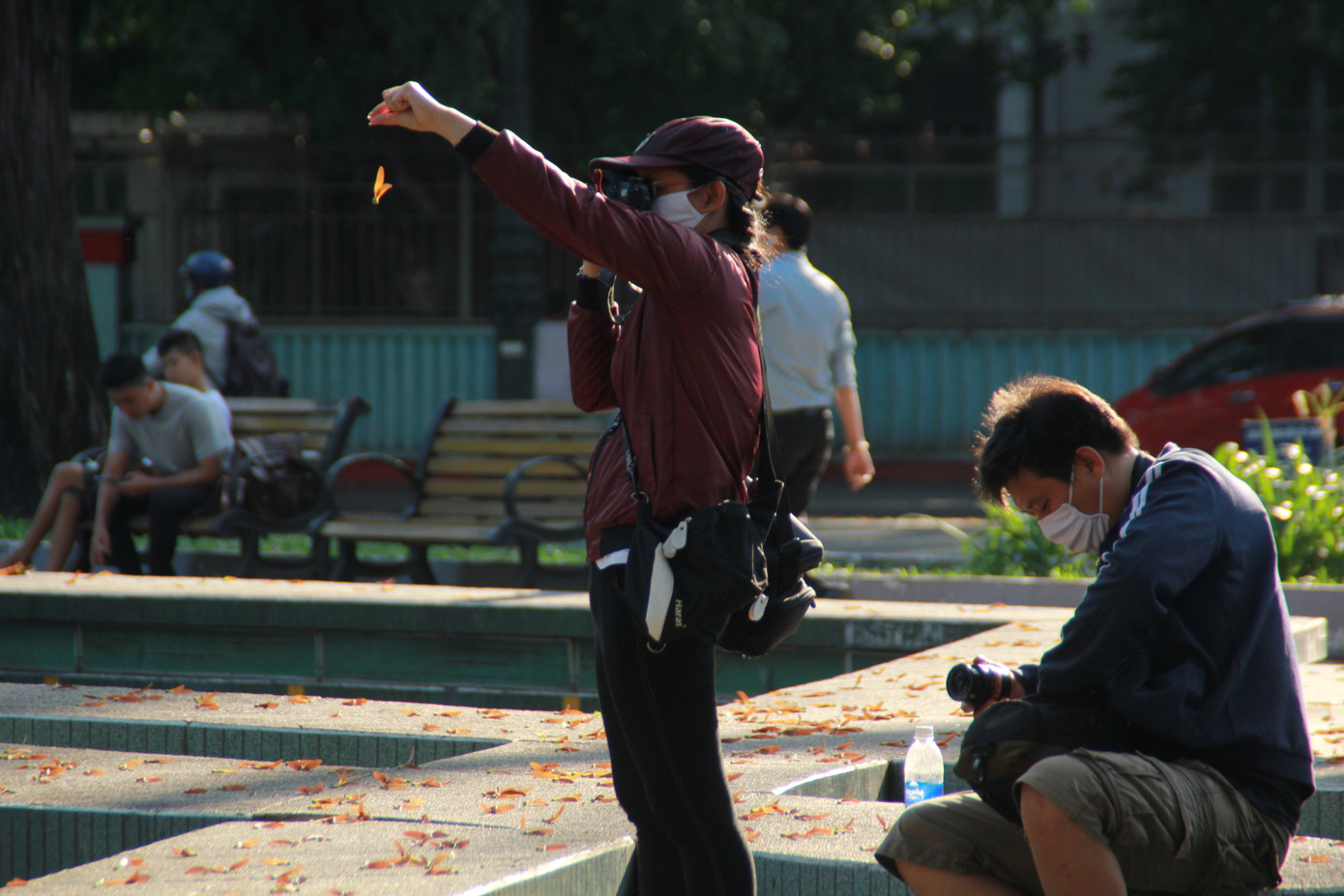 Ngày chớm hè, ngắm cánh chò nâu lả tả bay giữa Sài Gòn ảnh 15