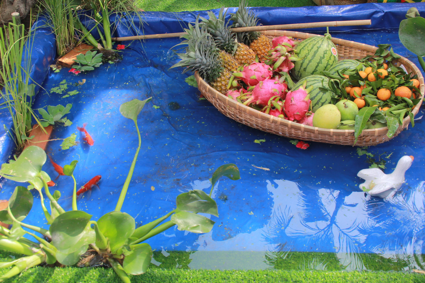 Đẹp mắt đường hoa xuân do các y, bác sỹ dày công chuẩn bị ảnh 12