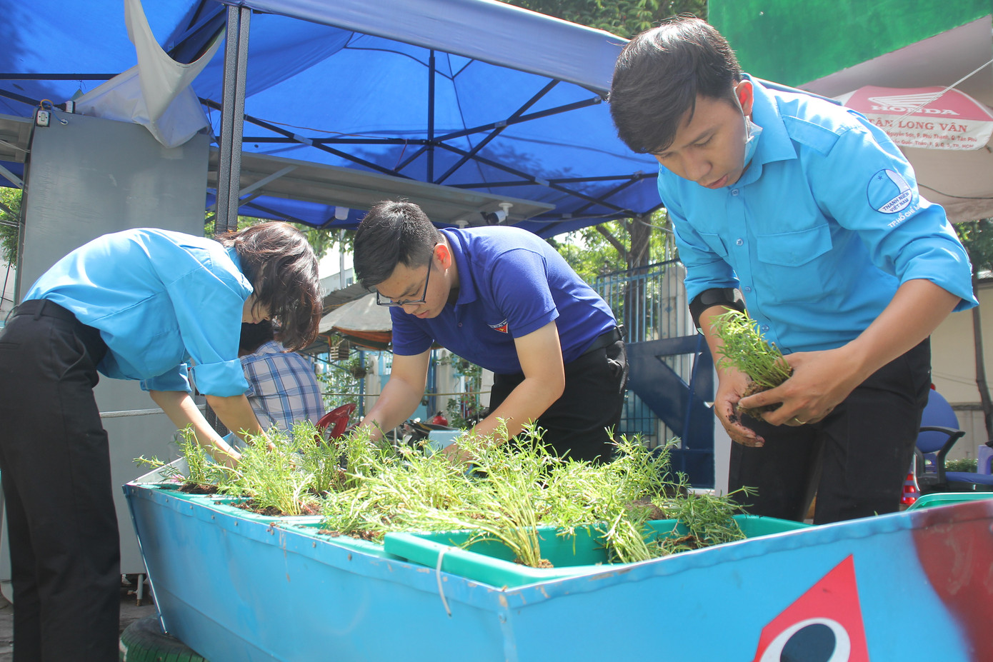 Bạn trẻ tạo mảng xanh mát lành từ công sở đến góc bếp ảnh 2