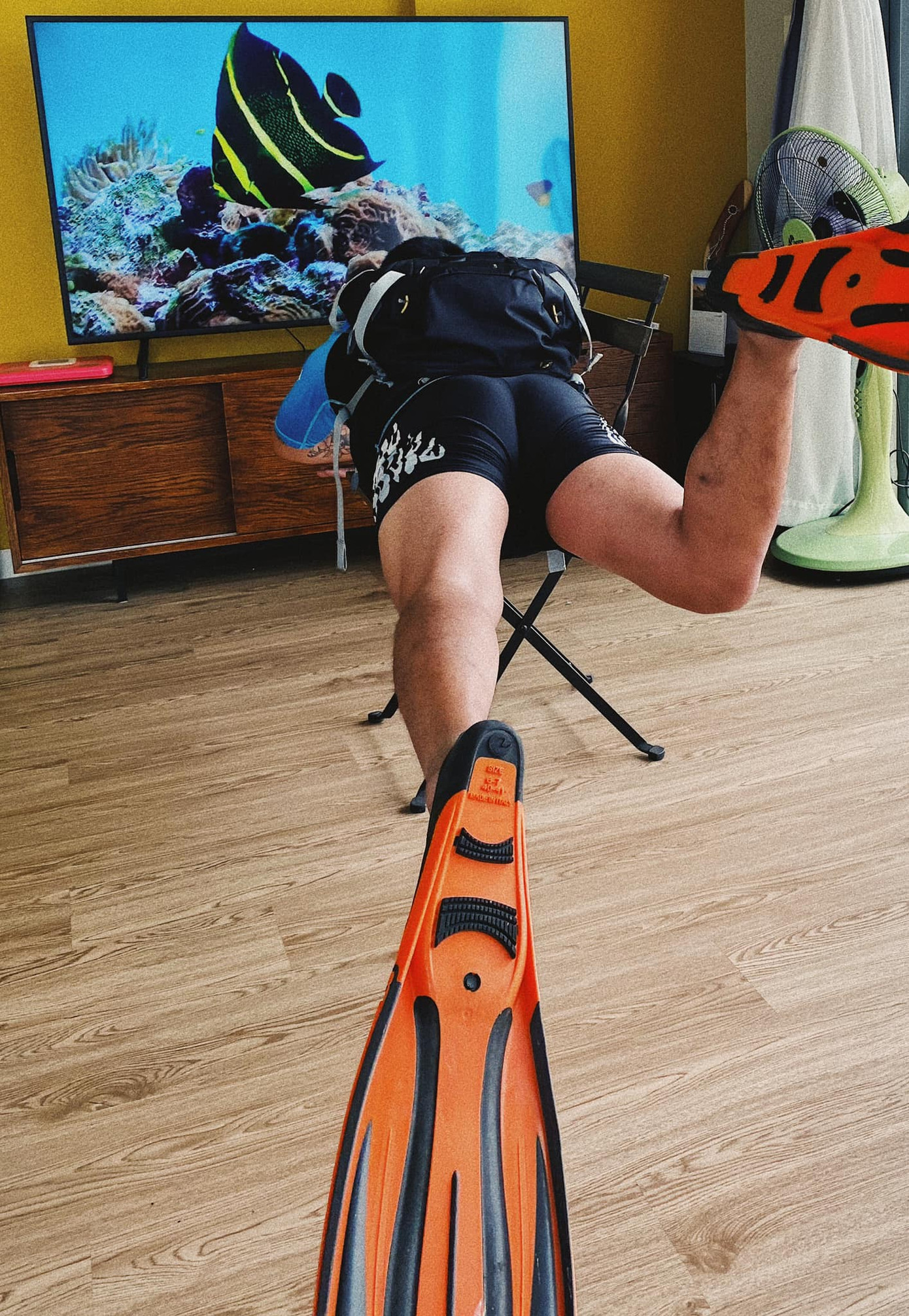 Tìm niềm vui trong những ngày giãn cách xã hội ảnh 3