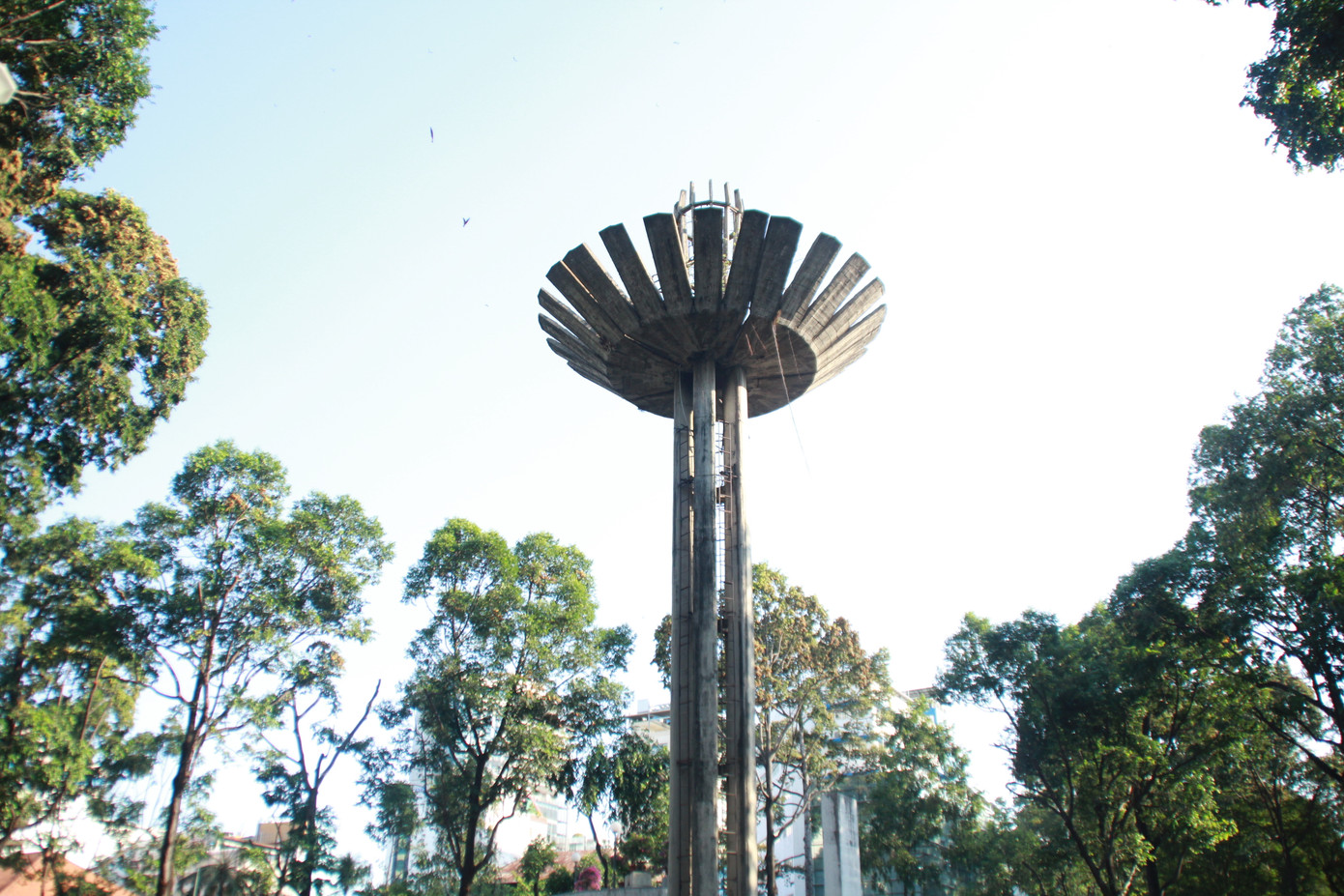 Ngày chớm hè, ngắm cánh chò nâu lả tả bay giữa Sài Gòn ảnh 12