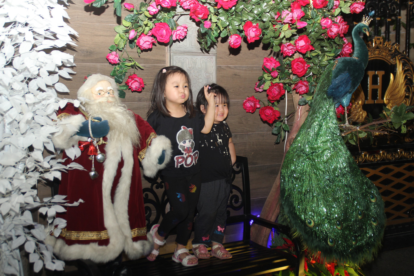 Trẻ em vui thích nô đùa bên hang đá, nai vàng... đón Noel ở biệt thự triệu đô của Mr. Đàm ảnh 14