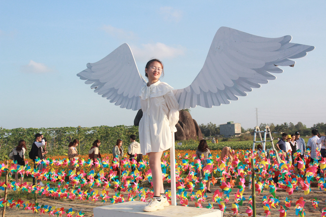 Vườn hoa hướng dương 'khổng lồ' ở Quảng Ngãi hút khách ngày cận Tết ảnh 26