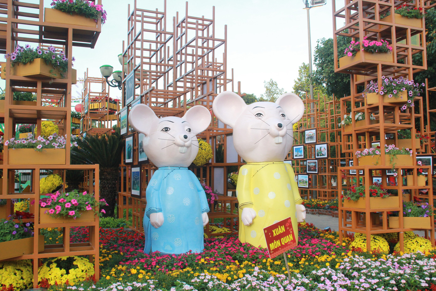 Người dân Quảng Ngãi rộn ràng 'check-in' với gia đình chuột ở công viên Ba Tơ ảnh 3