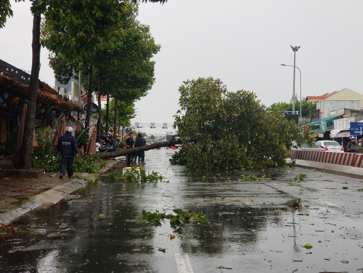 Cần Thơ: Nhiều nhà tốc mái, cây xanh đổ gãy trong trận mưa lớn ảnh 1