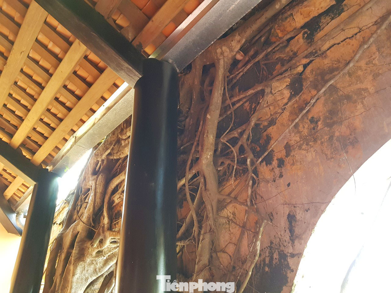 Ngôi đình 100 tuổi 'độc nhất vô nhị' ở miền Tây có 2 cây bồ đề mọc trên mái ảnh 11