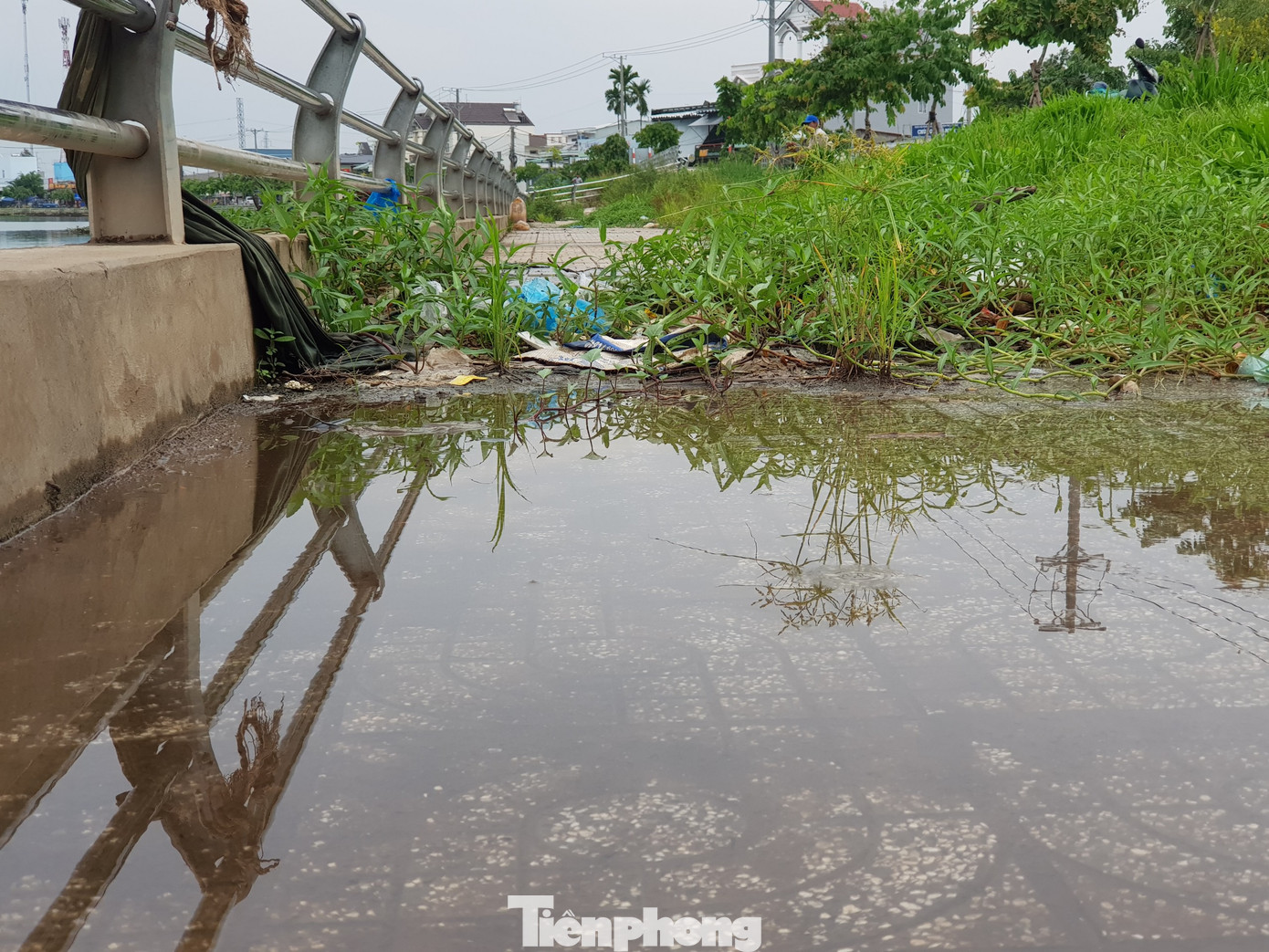 Xót xa công trình hàng trăm tỷ ở Cần Thơ thành nơi ‘chứa’ rác   ảnh 3