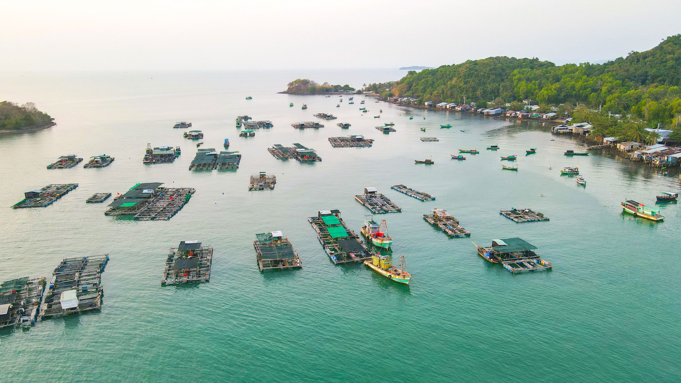 Ngất ngây vẻ đẹp xã đảo Tiên Hải ảnh 13