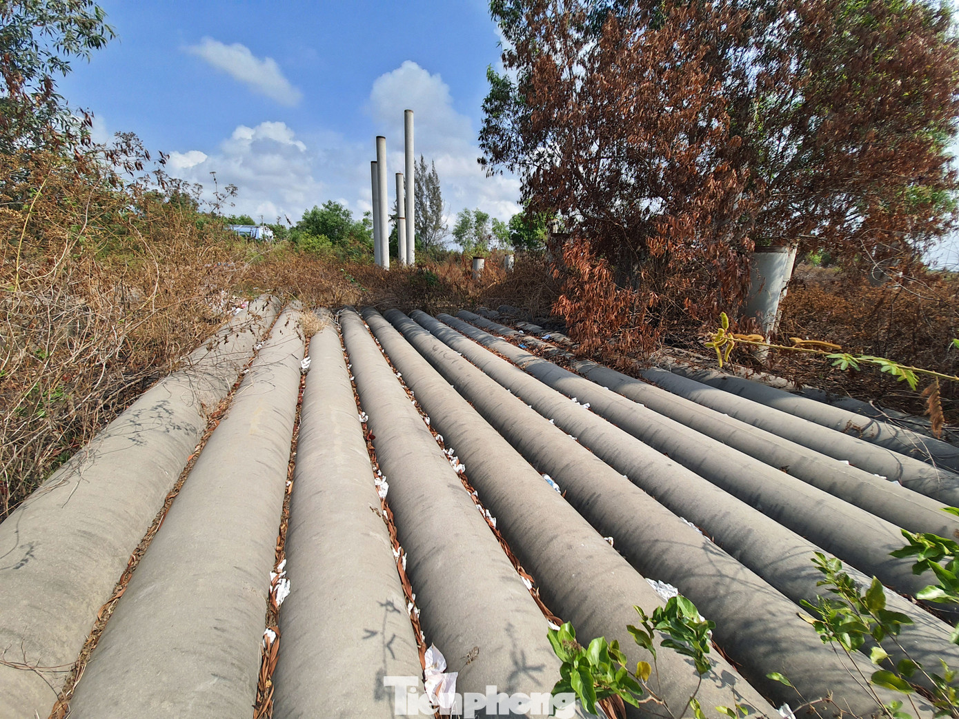 Kiên Giang: Nhiều sai phạm trong quản lý, sử dụng đất đai ảnh 2