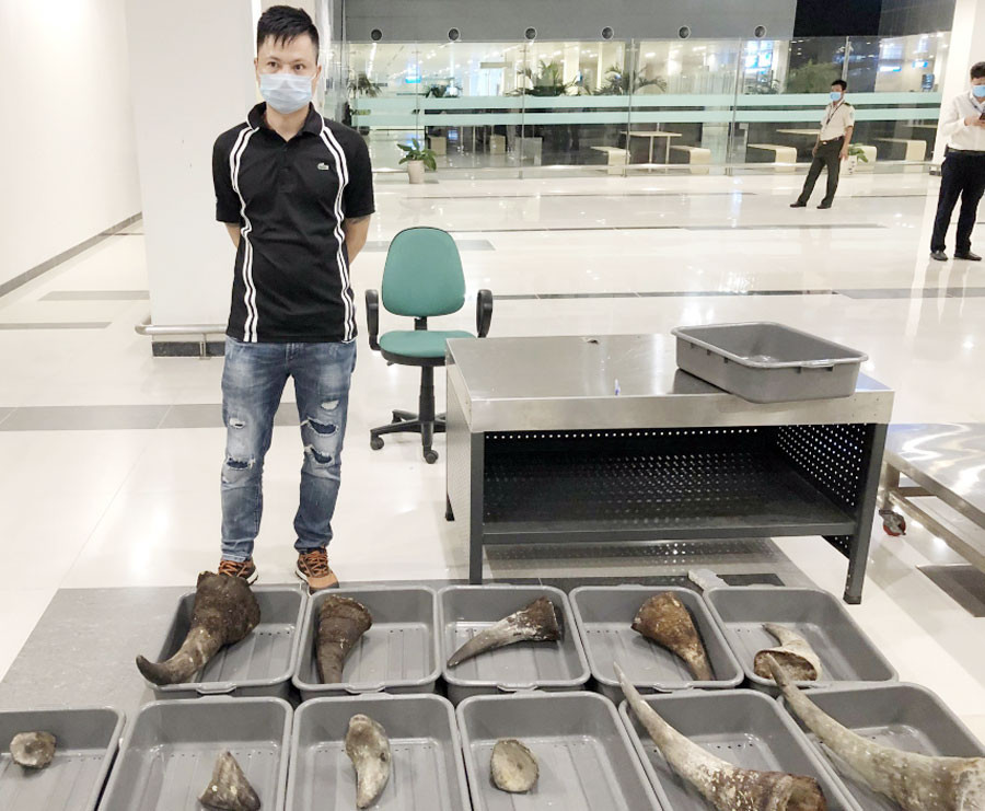 Phát hiện gần 30kg nghi sừng tê giác trên chuyến bay Hàn Quốc về Cần Thơ ảnh 1