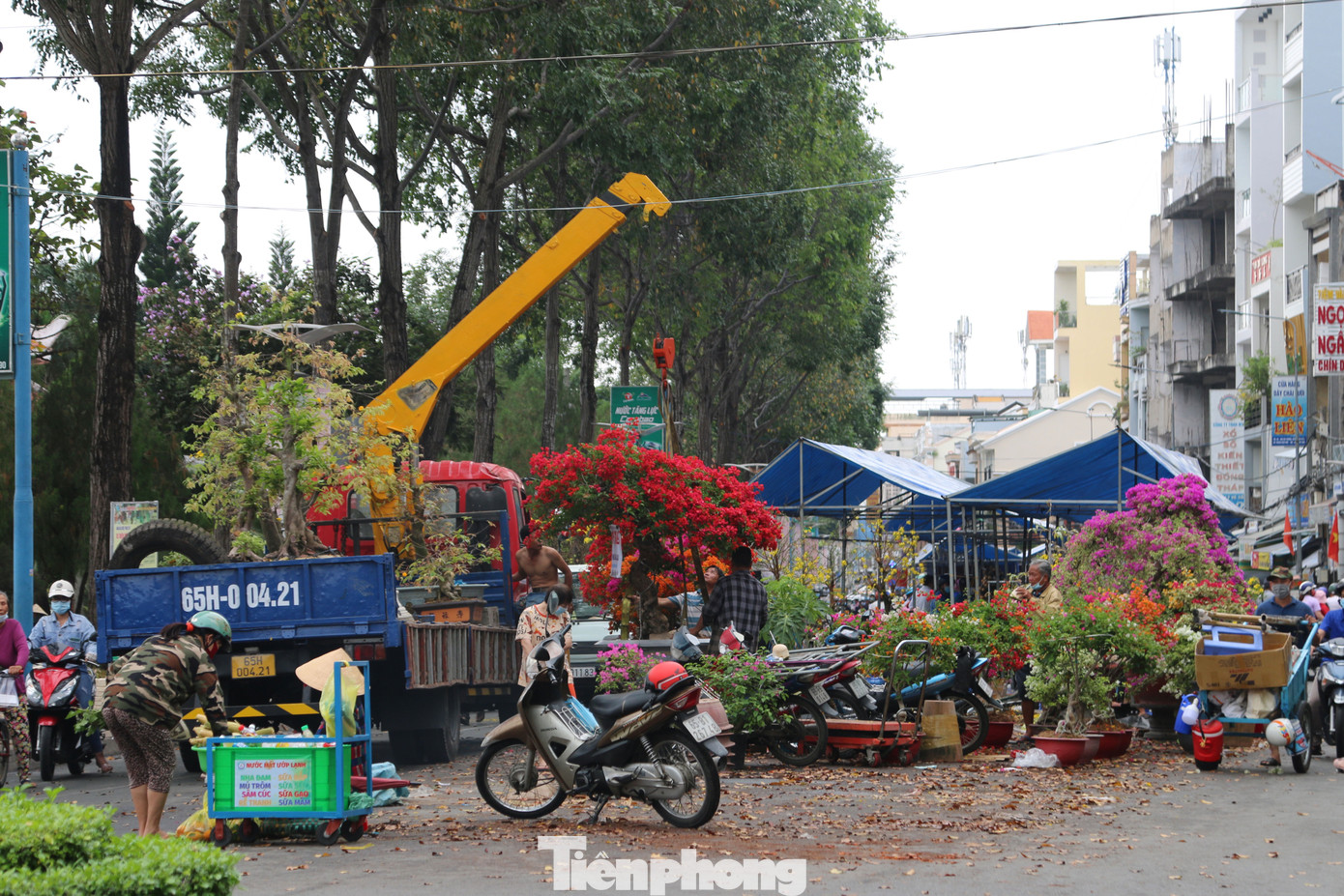 Chợ hoa Cần Thơ nhộn nhịp ngày 30 Tết ảnh 14