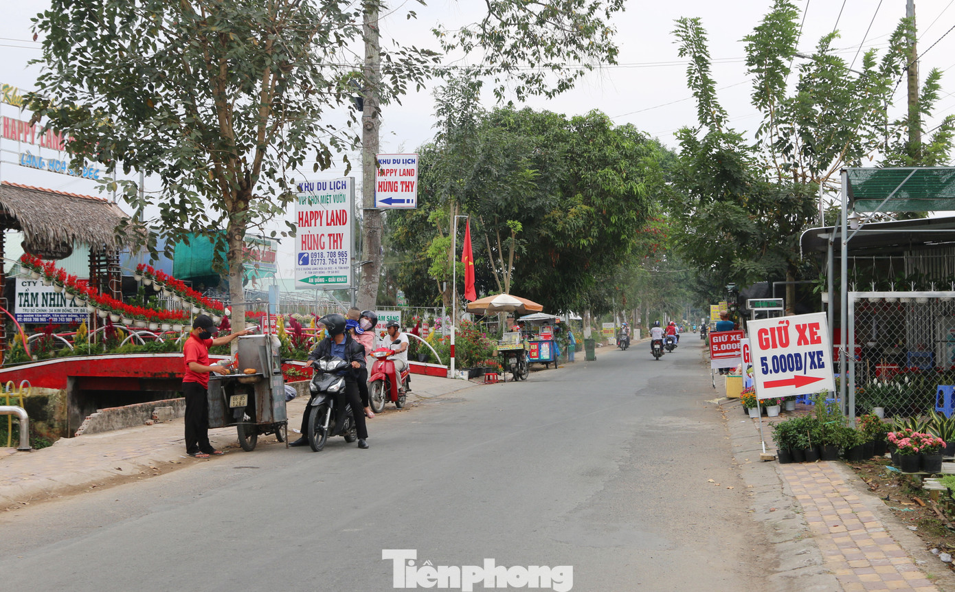 Làng hoa lớn nhất miền Tây đìu hiu, khách thưa thớt ảnh 5