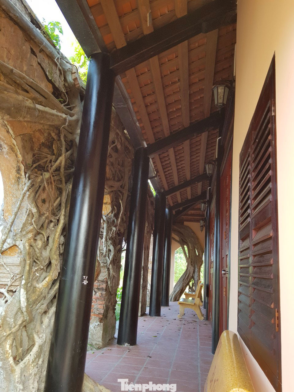 Ngôi đình 100 tuổi 'độc nhất vô nhị' ở miền Tây có 2 cây bồ đề mọc trên mái ảnh 10