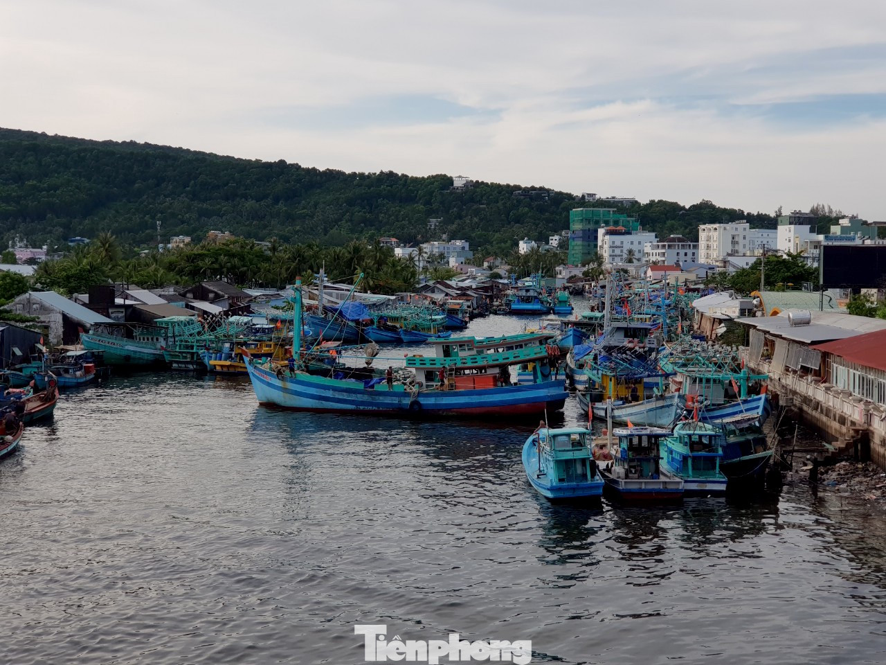 Sông Dương Đông ở Phú Quốc đen ngòm, người dân bị ‘tra tấn’ bởi mùi hôi ảnh 8