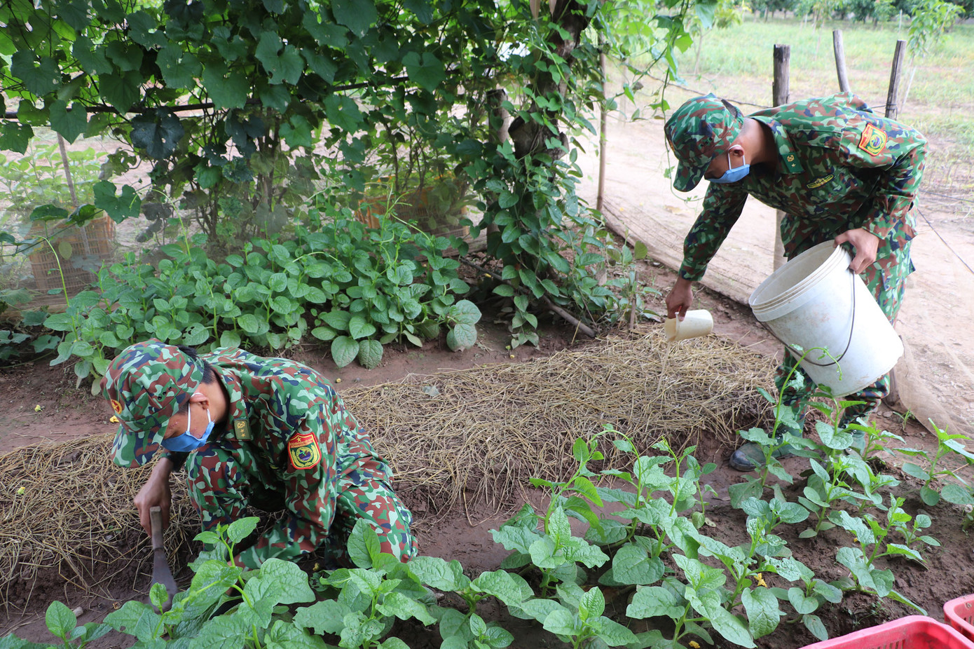 Kiên cường phòng, chống dịch nơi tuyến đầu biên giới An Giang ảnh 11