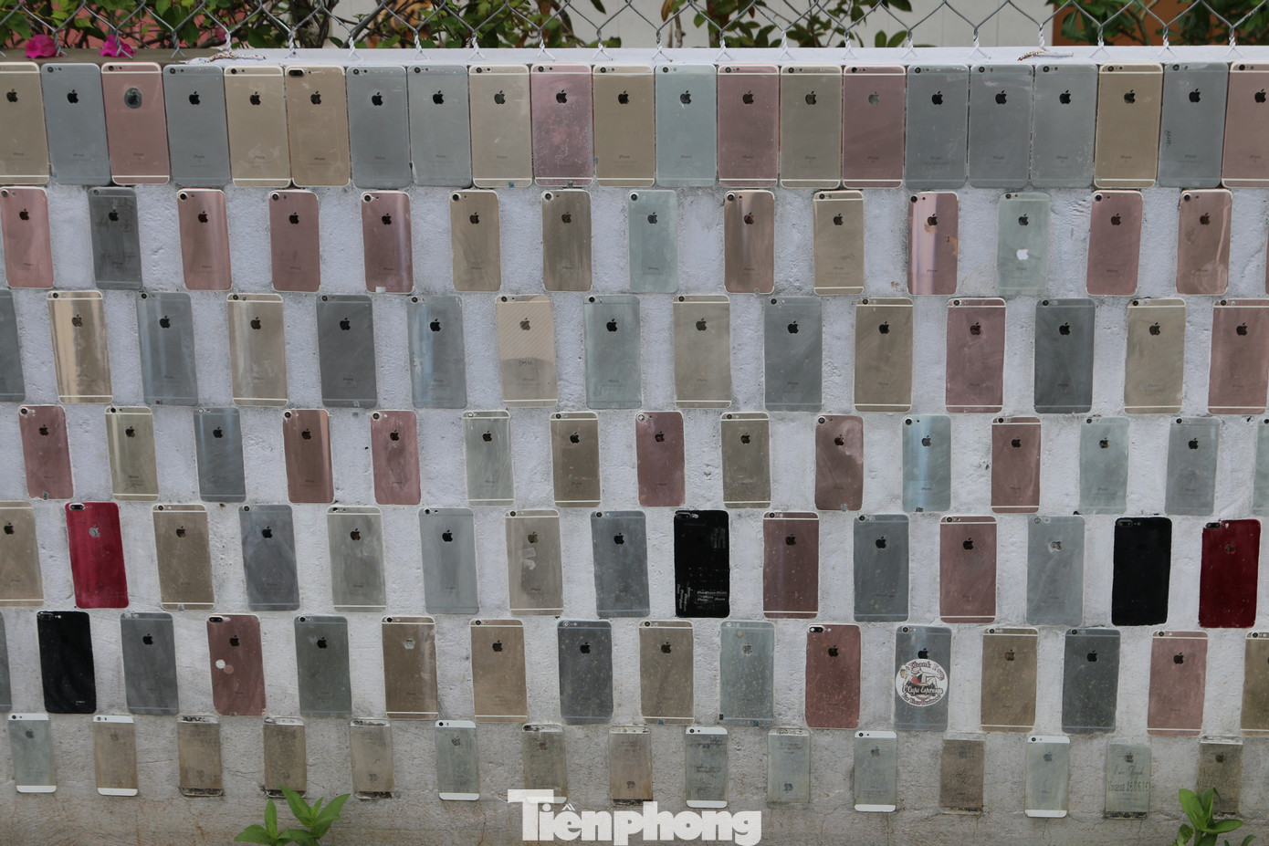 Ngôi nhà có hàng rào 'độc nhất vô nhị' được ốp hơn 2.000 vỏ điện thoại iPhone ảnh 14