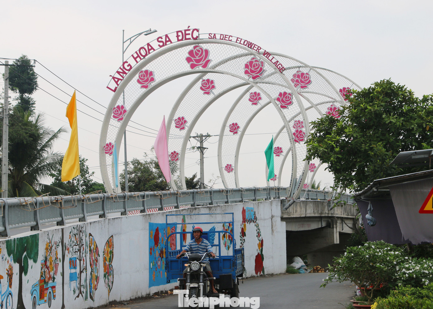 Làng hoa lớn nhất miền Tây đìu hiu, khách thưa thớt ảnh 17