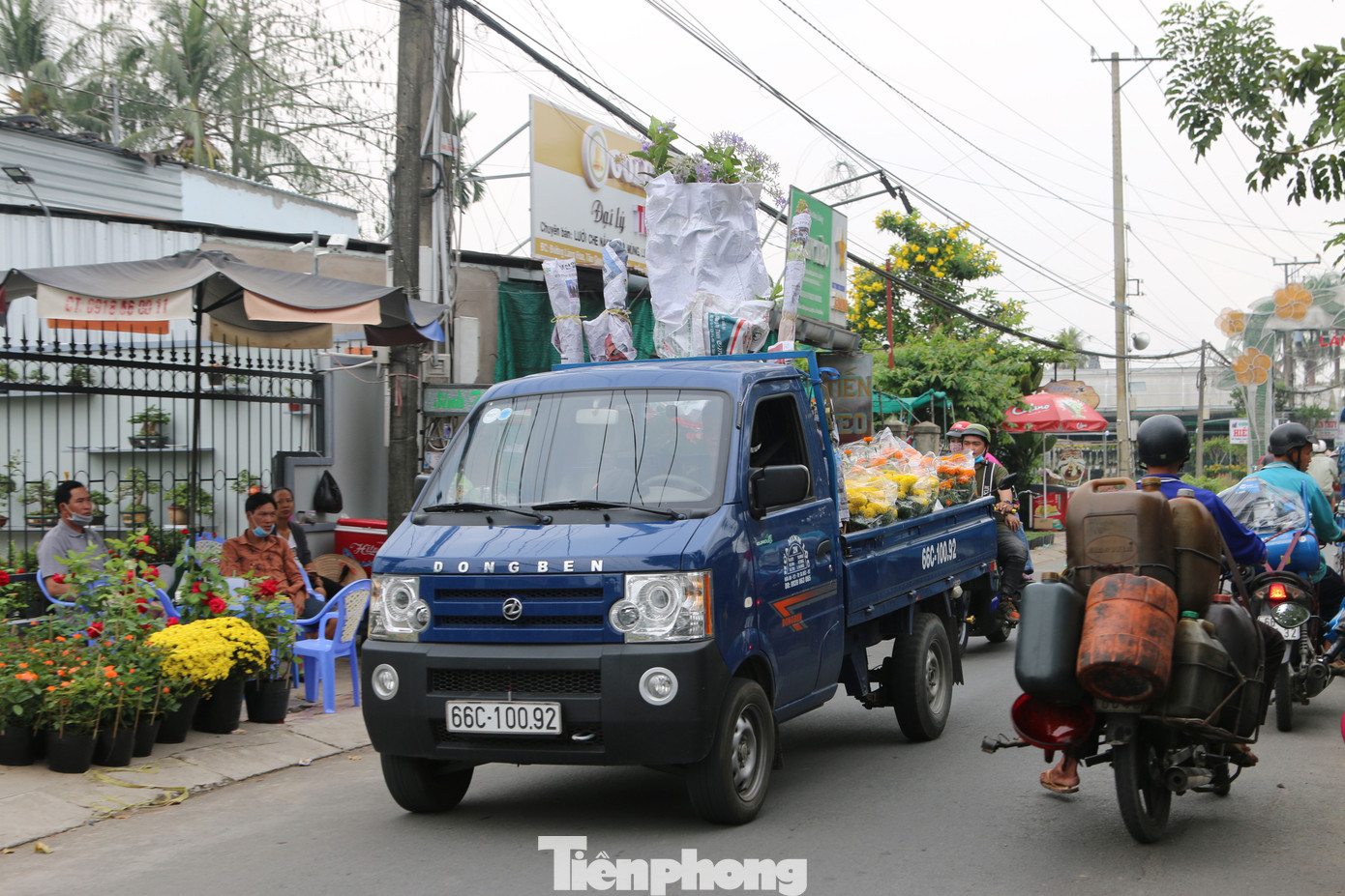 Làng hoa lớn nhất miền Tây đìu hiu, khách thưa thớt ảnh 3
