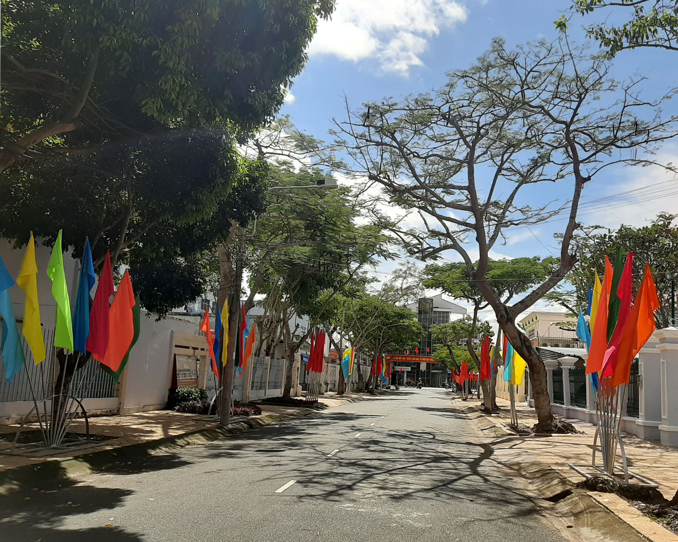 Sóc Trăng rực rỡ cờ hoa chào mừng Đại hội Đảng bộ ảnh 3