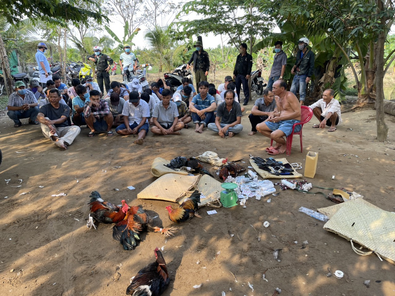 Triệt phá 2 trường gà ở Tiền Giang ngày mùng 2 Tết ảnh 2