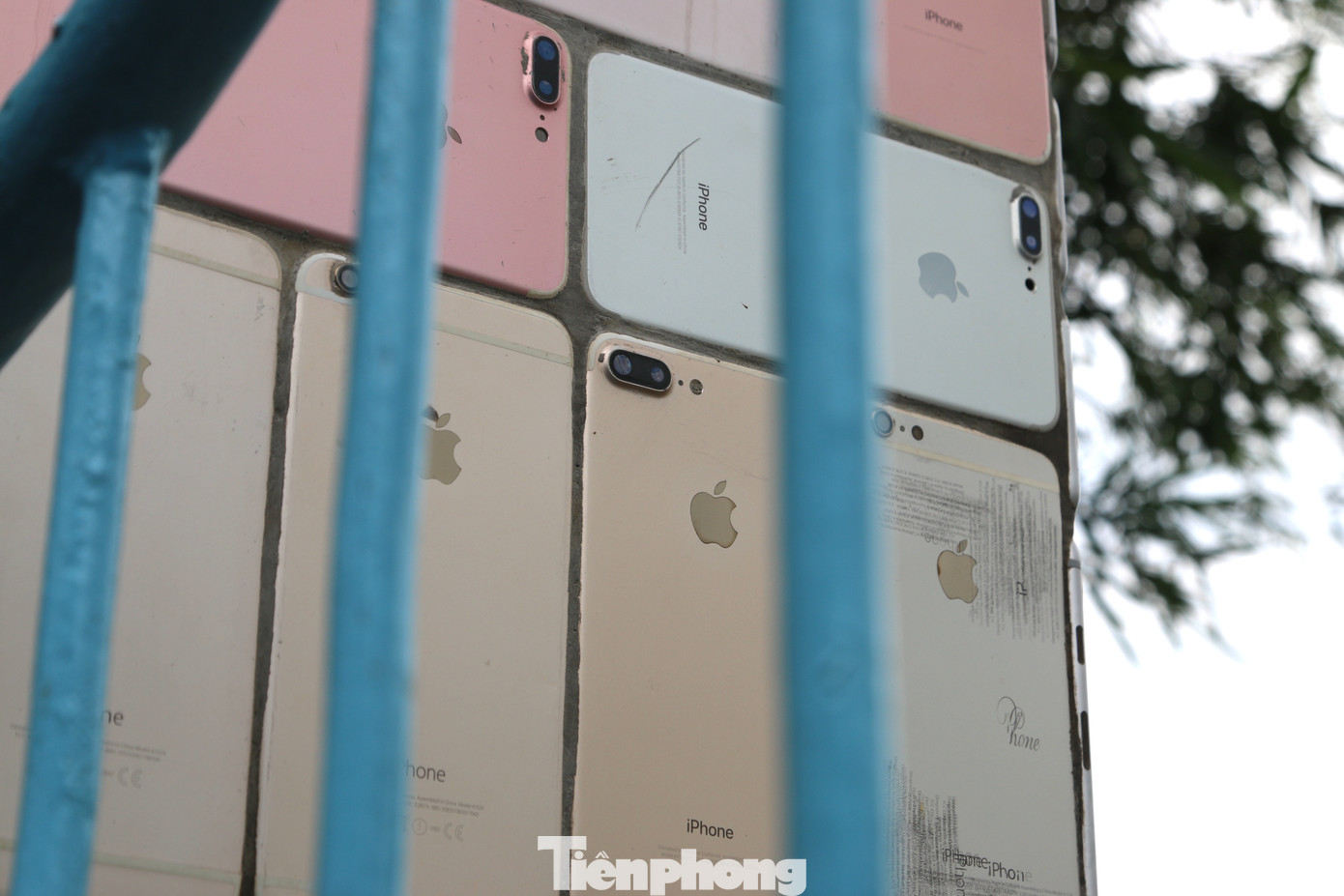 Ngôi nhà có hàng rào 'độc nhất vô nhị' được ốp hơn 2.000 vỏ điện thoại iPhone ảnh 5