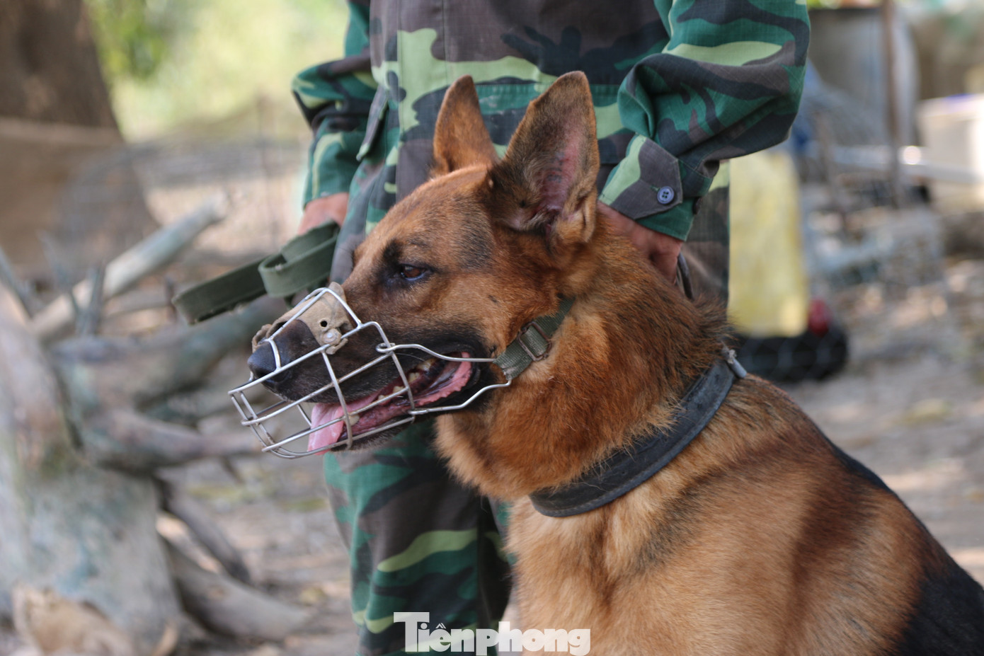 Biên giới Tây Nam những ngày chống dịch COVID -19 ảnh 5