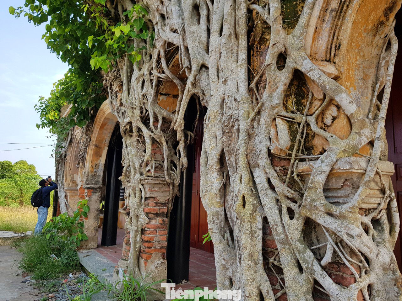 Ngôi đình 100 tuổi 'độc nhất vô nhị' ở miền Tây có 2 cây bồ đề mọc trên mái ảnh 5