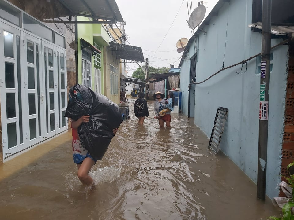 Cây đổ hàng loạt, mất điện, hàng nghìn nhà tốc mái do bão số 5 ảnh 1