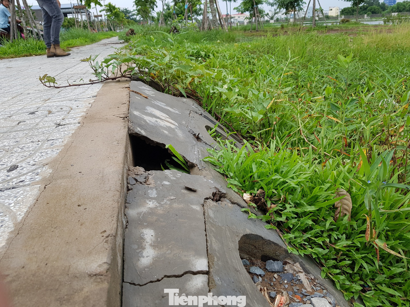 Xót xa công trình hàng trăm tỷ ở Cần Thơ thành nơi ‘chứa’ rác   ảnh 7