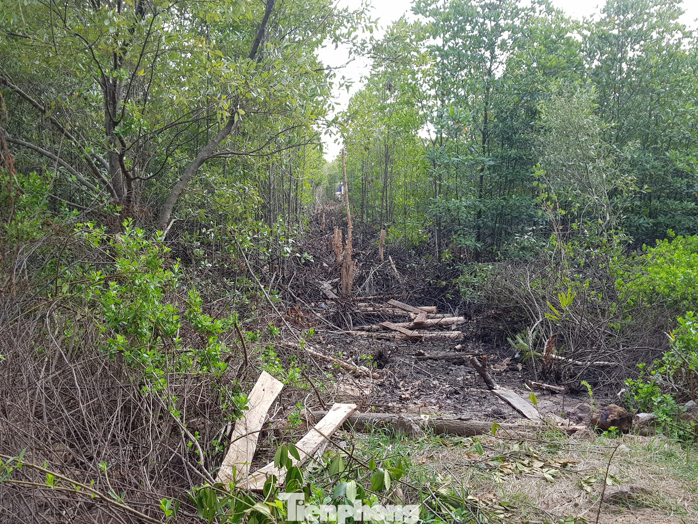 Trung úy biên phòng kể giây phút 'giáp lá cà nghẹt thở' với nhóm buôn lậu ảnh 3