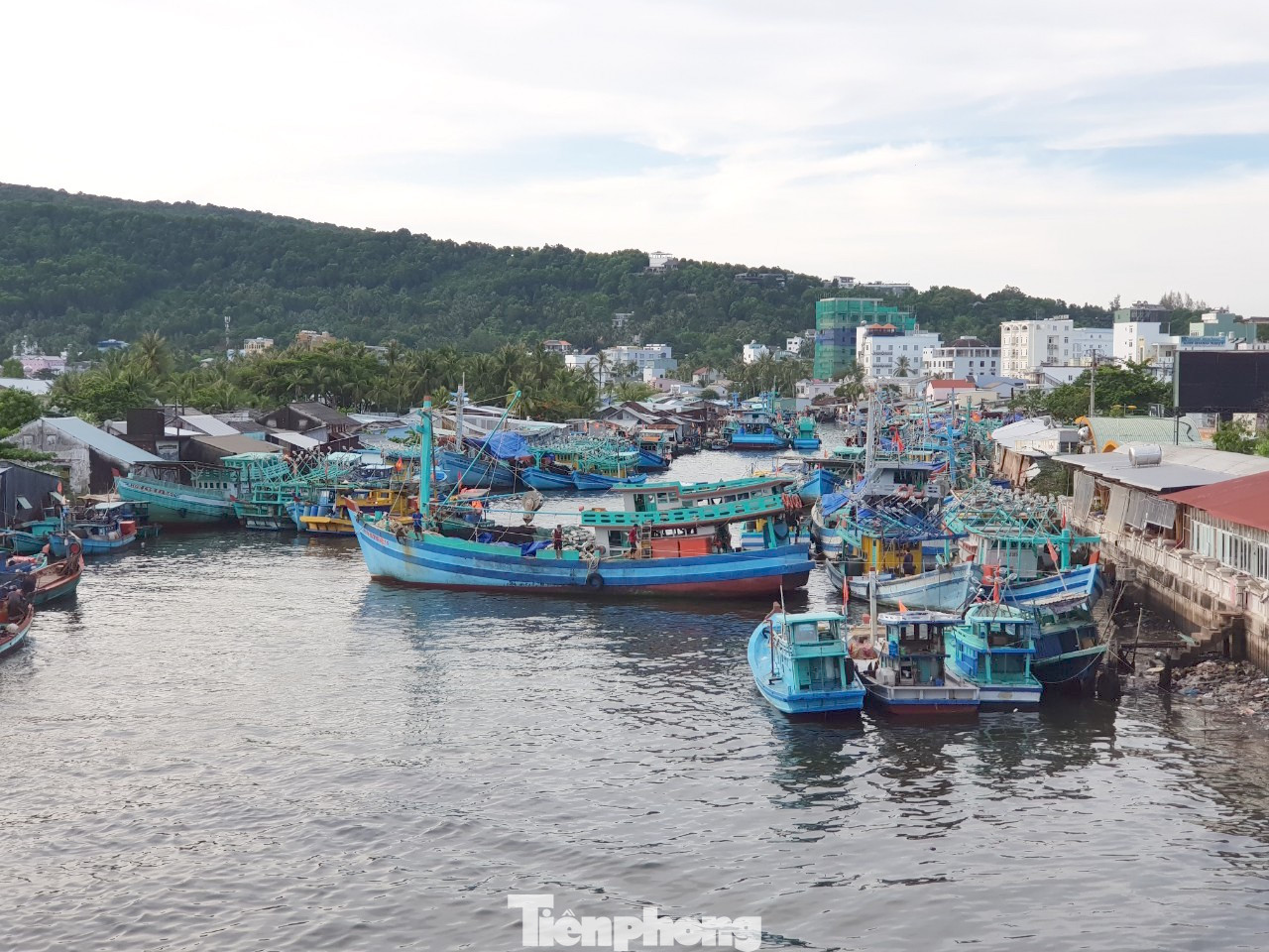 Chợ lớn nhất Phú Quốc nhộn nhịp sau giãn cách xã hội ảnh 3