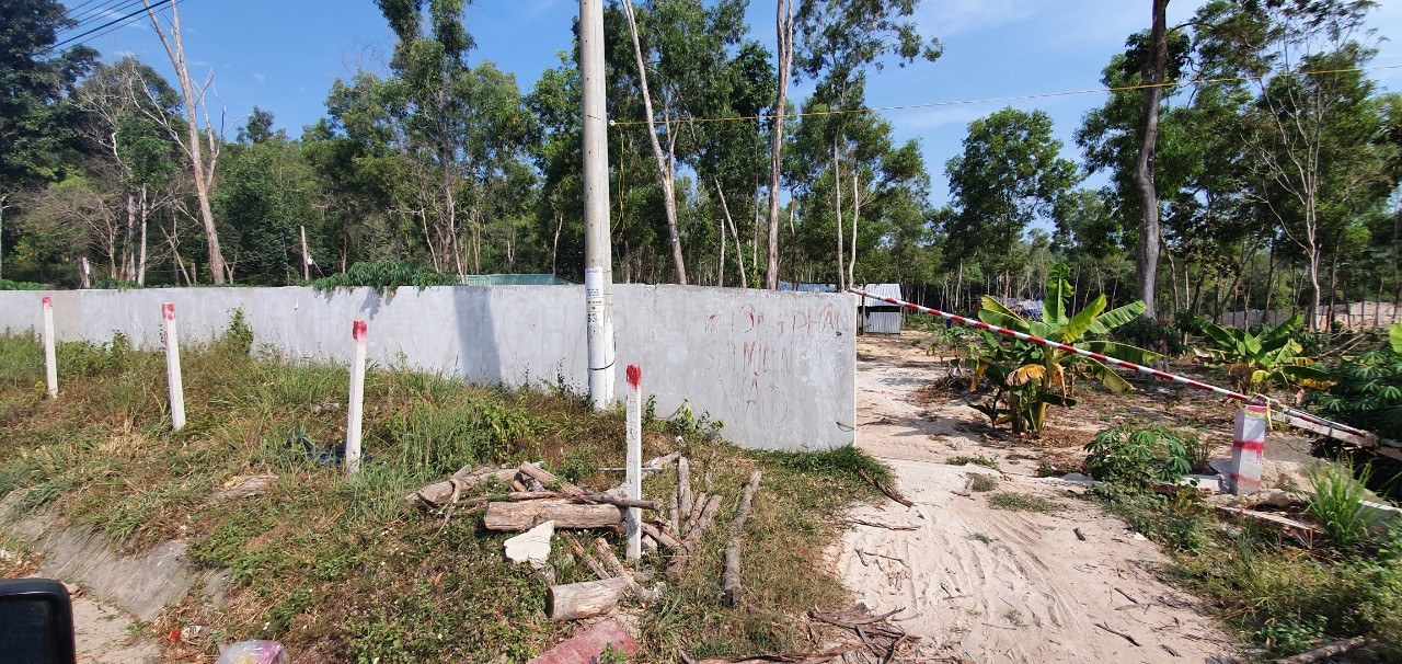 Bắt đối tượng bao chiếm đất, hủy hoại tài sản của người khác ở Phú Quốc ảnh 2