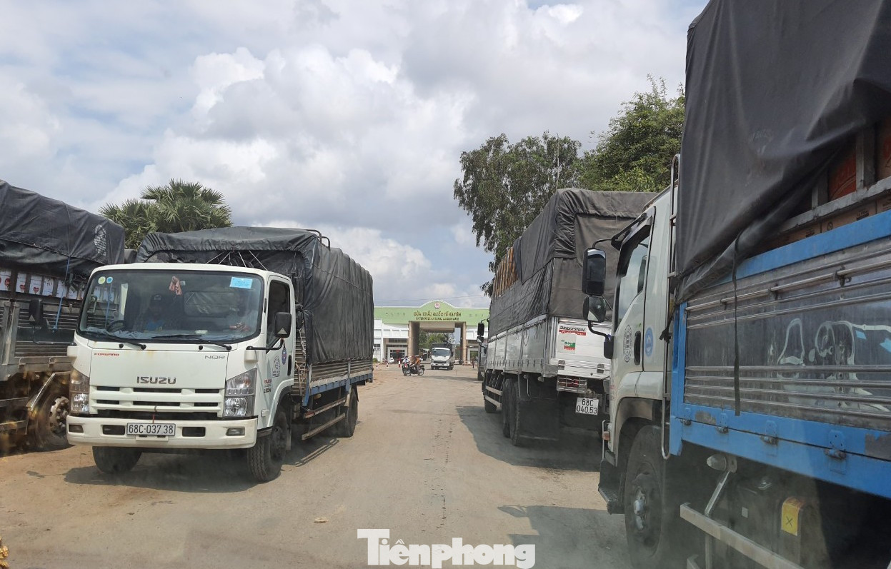 Thời COVID-19, giao thương qua biên giới bằng... xuồng không người lái ảnh 15