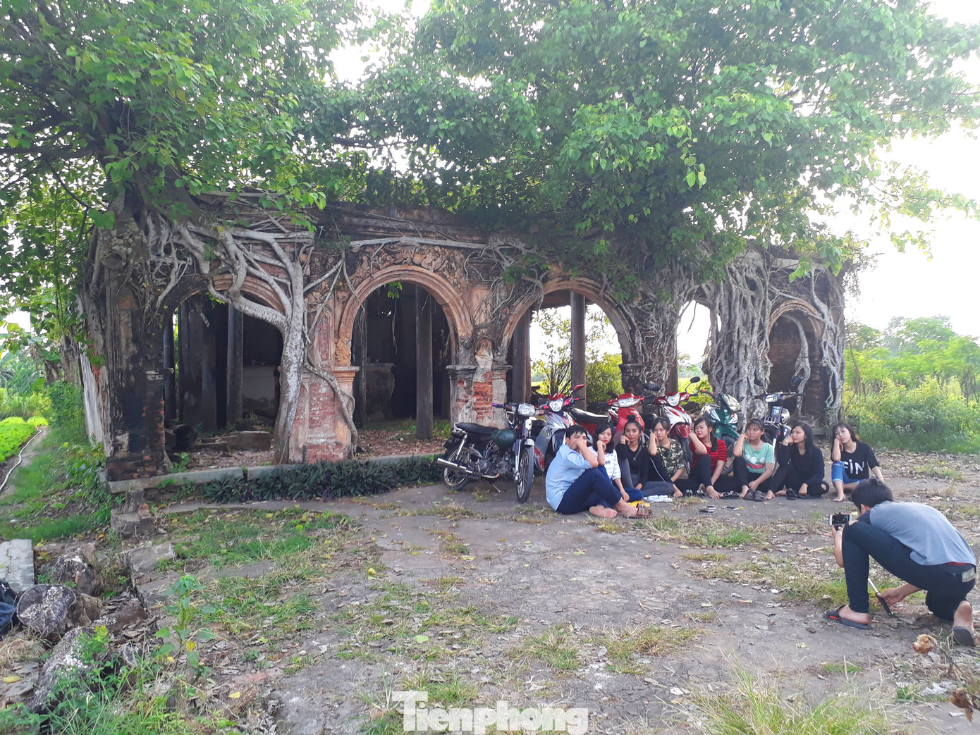 Ngôi đình 100 tuổi 'độc nhất vô nhị' ở miền Tây có 2 cây bồ đề mọc trên mái ảnh 1