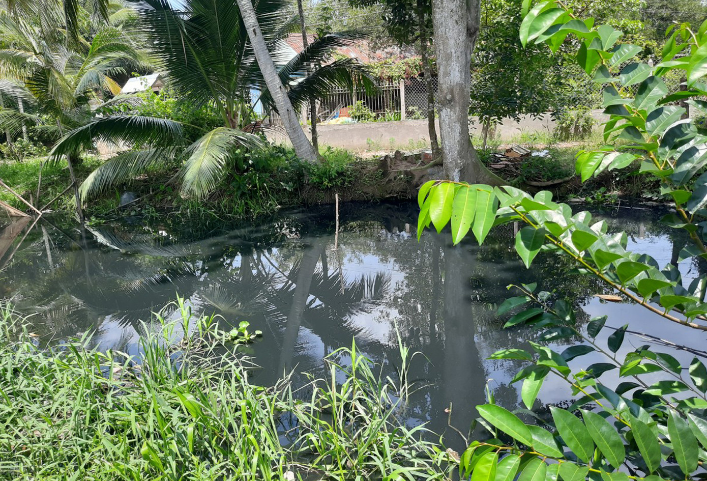 Khu công nghiệp lớn nhất tỉnh Sóc Trăng gây ô nhiễm môi trường ảnh 3