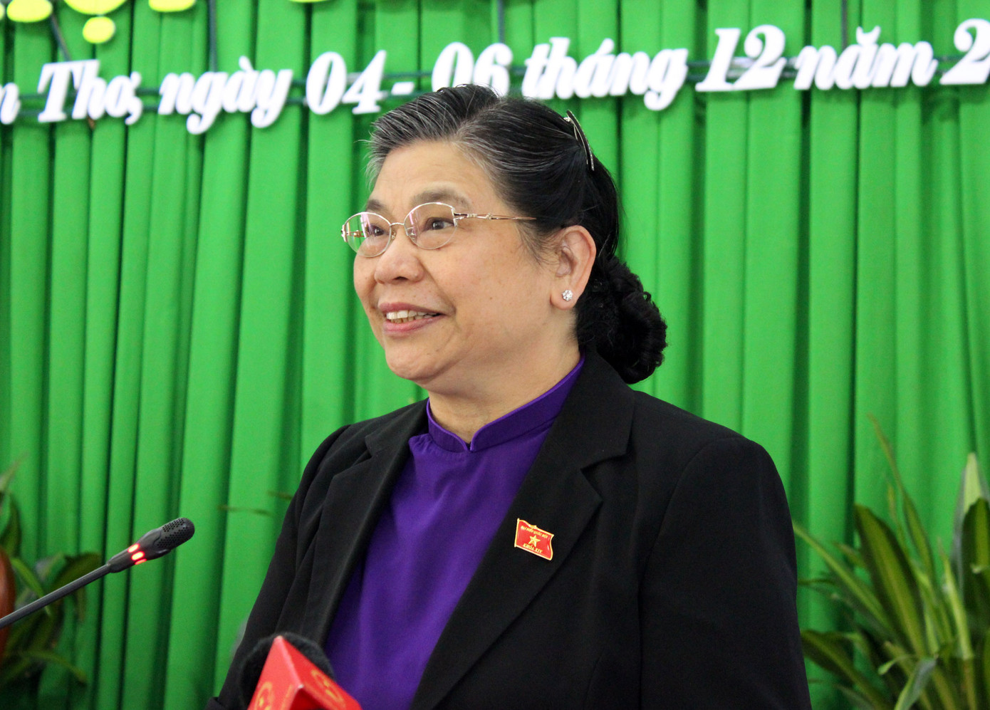 Phó Chủ tịch Quốc hội nêu 5 vấn đề còn hạn chế của Cần Thơ ảnh 1