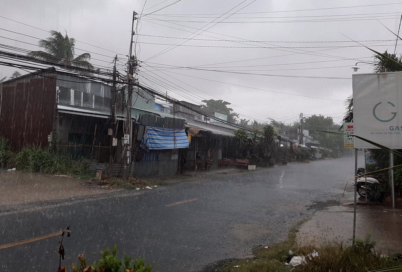 Miền Tây đón mưa 'vàng’ giải hạn ảnh 13