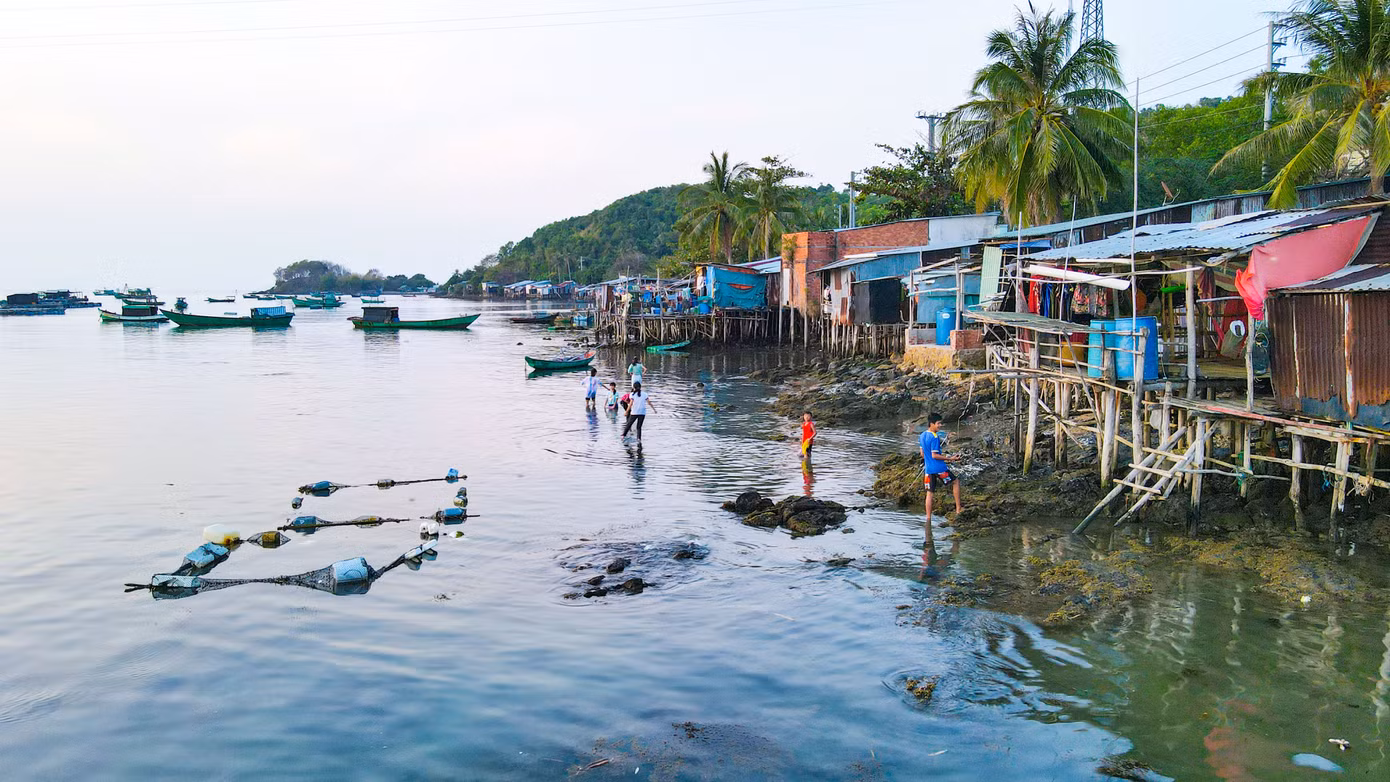 Ngất ngây vẻ đẹp xã đảo Tiên Hải ảnh 19