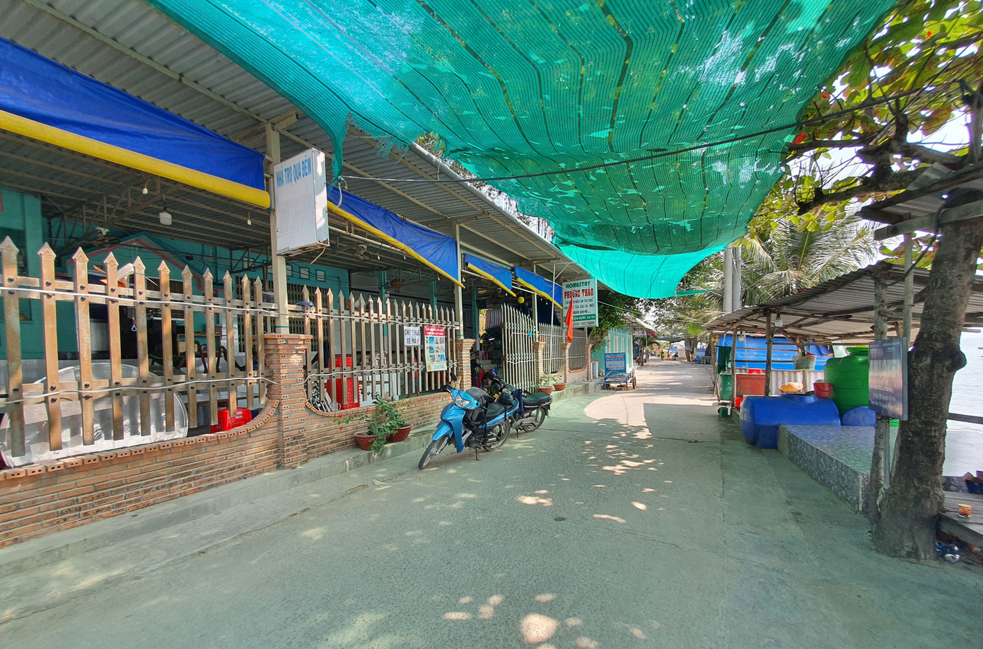 Ngất ngây vẻ đẹp xã đảo Tiên Hải ảnh 14